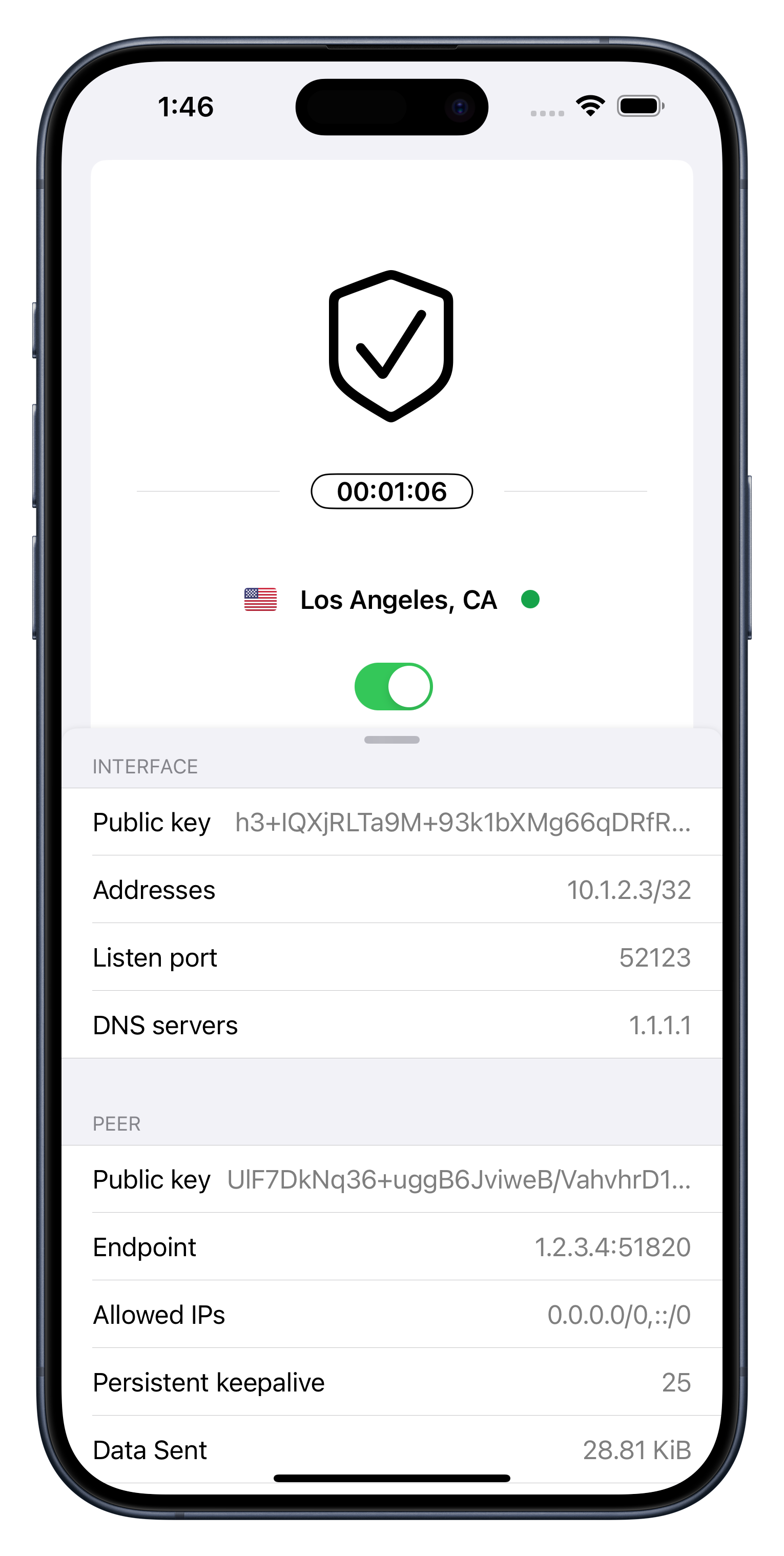 Silicon Valley VPN on iPhone